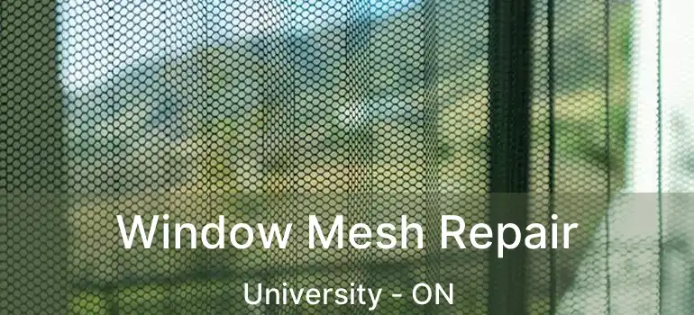  Window Mesh Repair University - ON