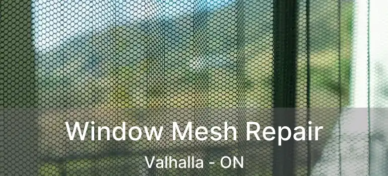  Window Mesh Repair Valhalla - ON