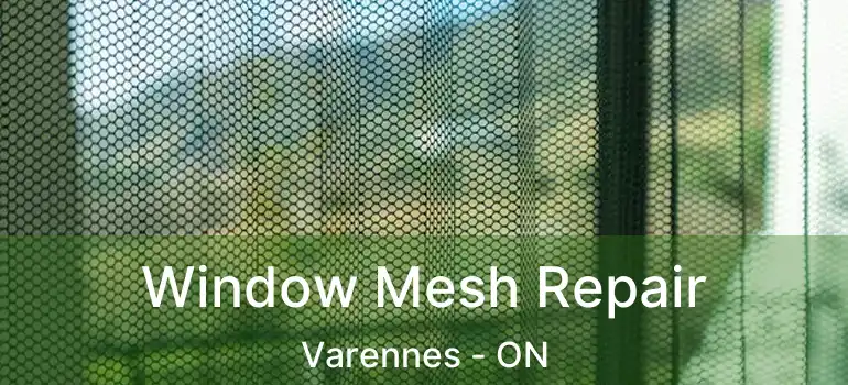  Window Mesh Repair Varennes - ON