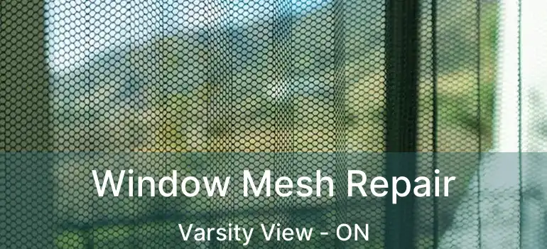  Window Mesh Repair Varsity View - ON