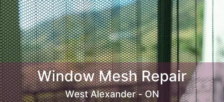  Window Mesh Repair West Alexander - ON