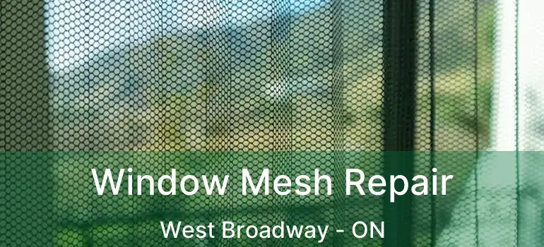  Window Mesh Repair West Broadway - ON
