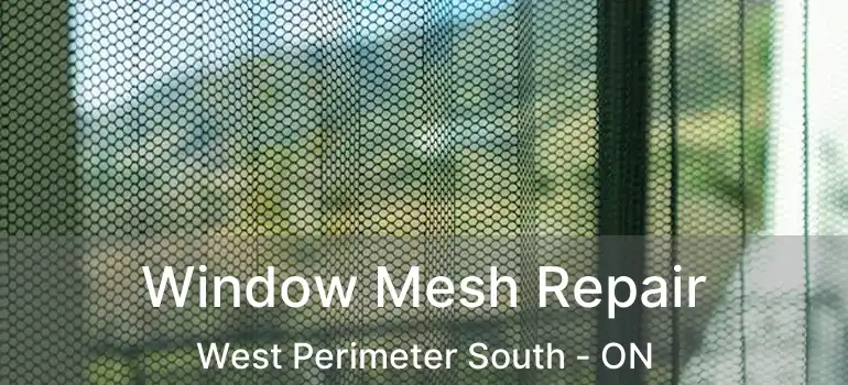  Window Mesh Repair West Perimeter South - ON