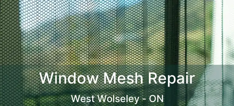  Window Mesh Repair West Wolseley - ON