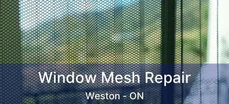  Window Mesh Repair Weston - ON