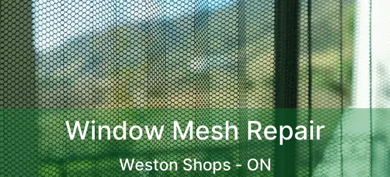  Window Mesh Repair Weston Shops - ON