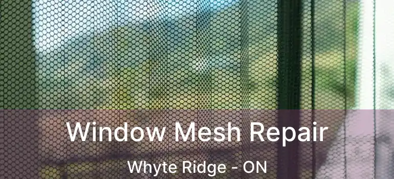  Window Mesh Repair Whyte Ridge - ON