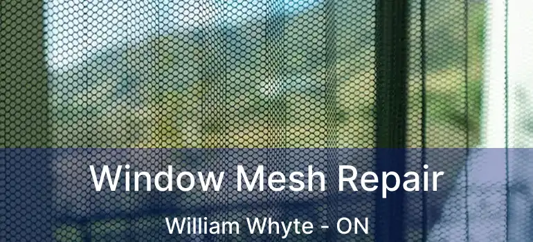  Window Mesh Repair William Whyte - ON