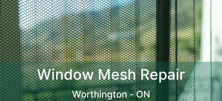  Window Mesh Repair Worthington - ON