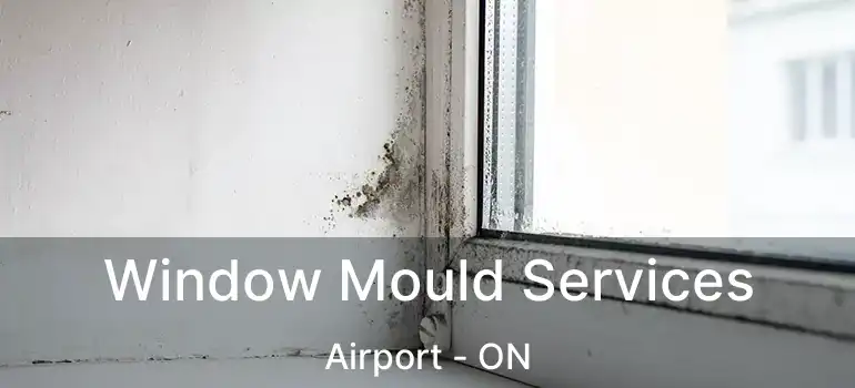  Window Mould Services Airport - ON