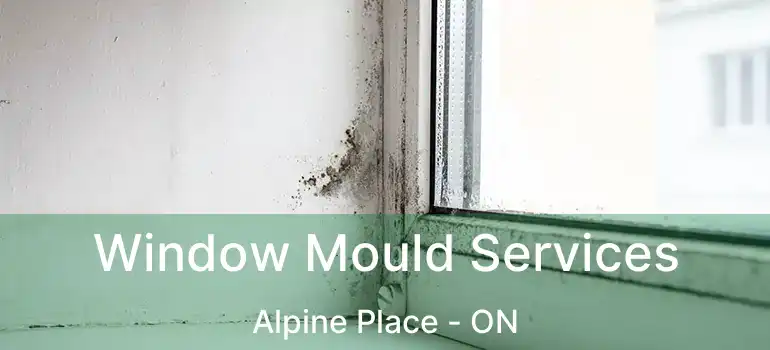  Window Mould Services Alpine Place - ON
