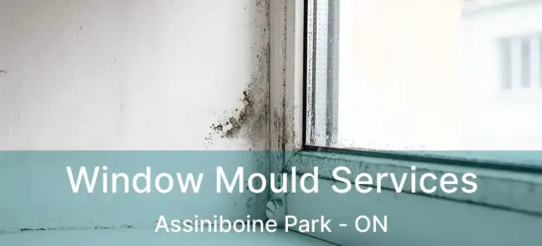  Window Mould Services Assiniboine Park - ON