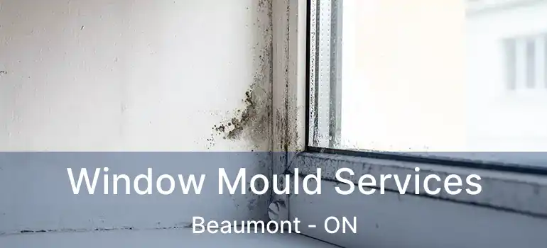  Window Mould Services Beaumont - ON