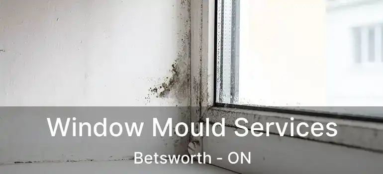  Window Mould Services Betsworth - ON