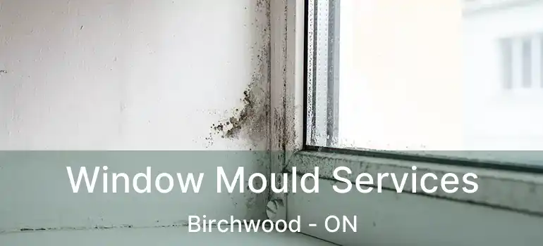  Window Mould Services Birchwood - ON
