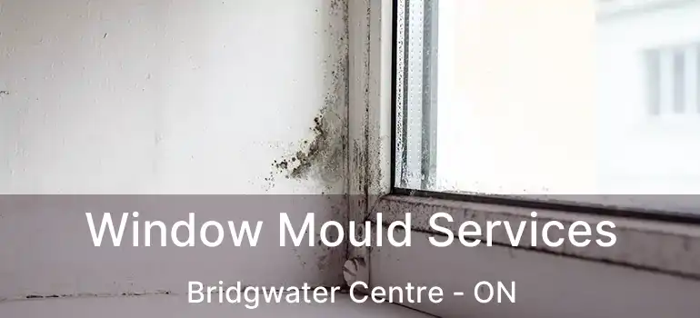  Window Mould Services Bridgwater Centre - ON