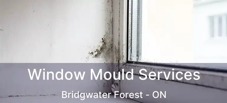  Window Mould Services Bridgwater Forest - ON