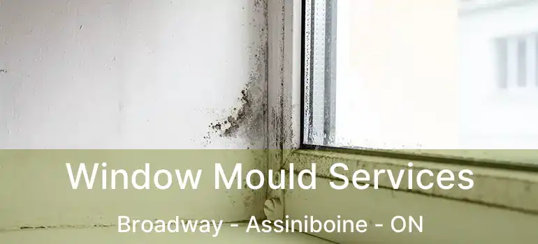  Window Mould Services Broadway - Assiniboine - ON