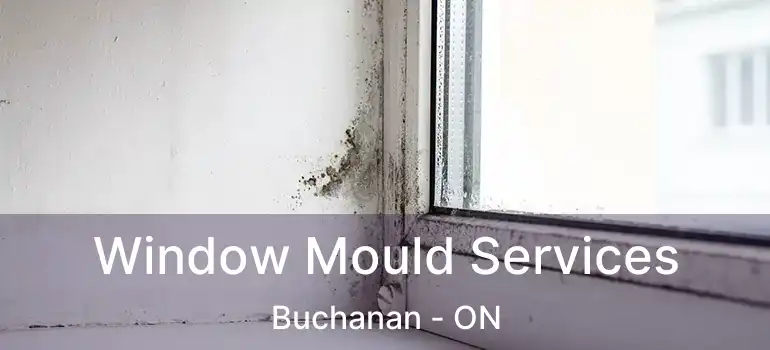  Window Mould Services Buchanan - ON