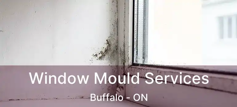  Window Mould Services Buffalo - ON