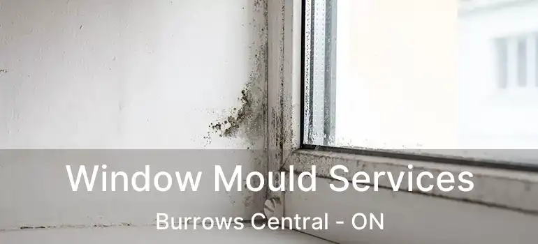  Window Mould Services Burrows Central - ON
