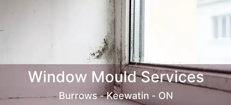  Window Mould Services Burrows - Keewatin - ON