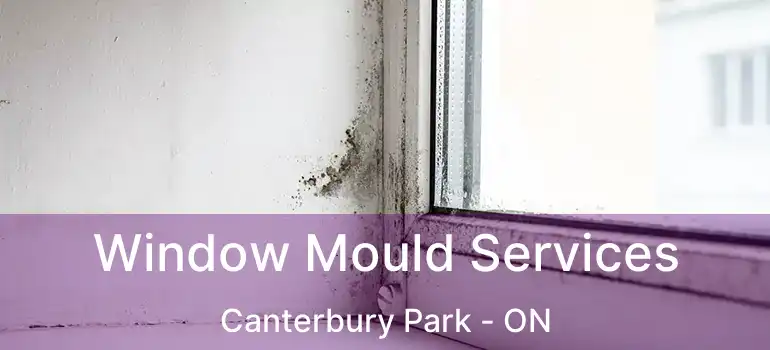  Window Mould Services Canterbury Park - ON