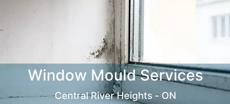  Window Mould Services Central River Heights - ON