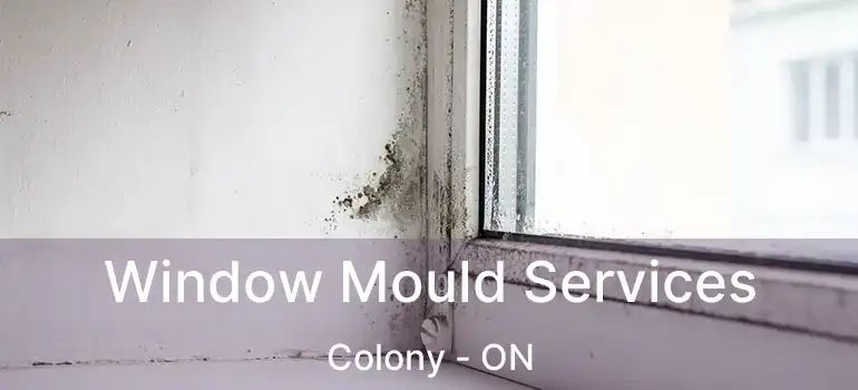  Window Mould Services Colony - ON