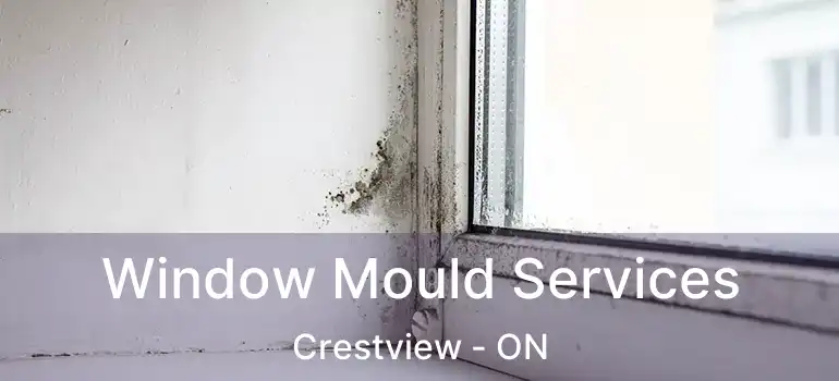  Window Mould Services Crestview - ON