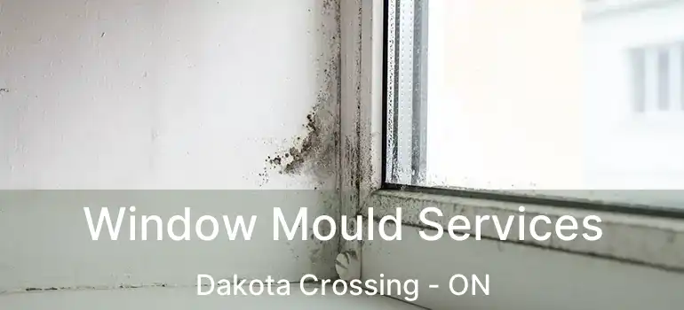  Window Mould Services Dakota Crossing - ON