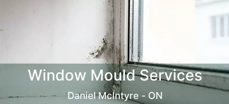  Window Mould Services Daniel McIntyre - ON