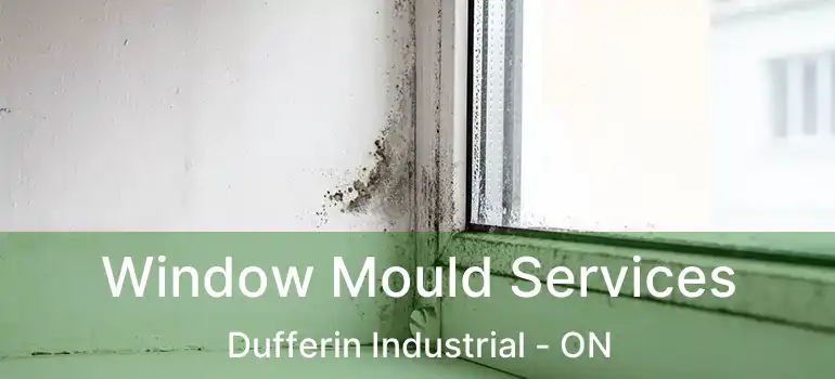  Window Mould Services Dufferin Industrial - ON