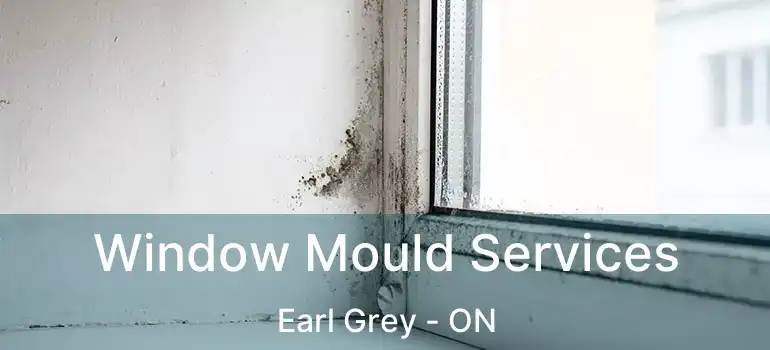  Window Mould Services Earl Grey - ON