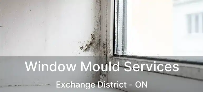  Window Mould Services Exchange District - ON