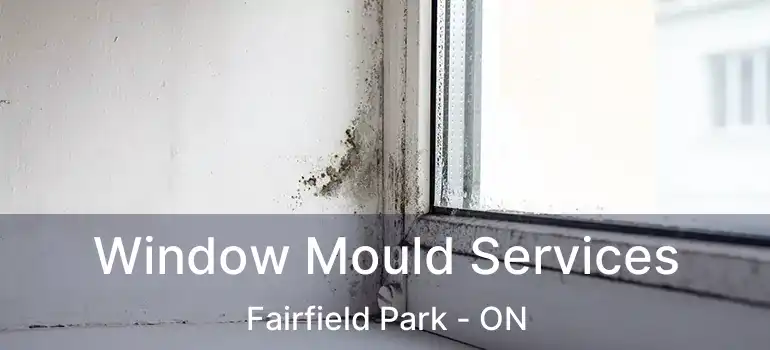  Window Mould Services Fairfield Park - ON