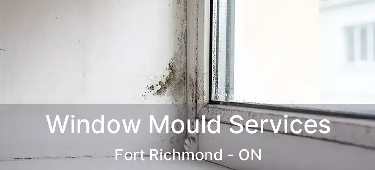  Window Mould Services Fort Richmond - ON