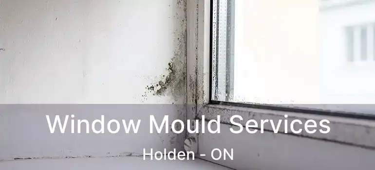  Window Mould Services Holden - ON