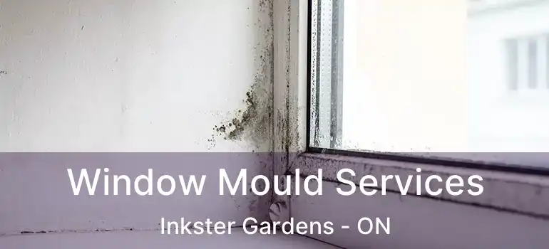  Window Mould Services Inkster Gardens - ON
