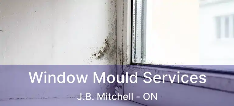  Window Mould Services J.B. Mitchell - ON