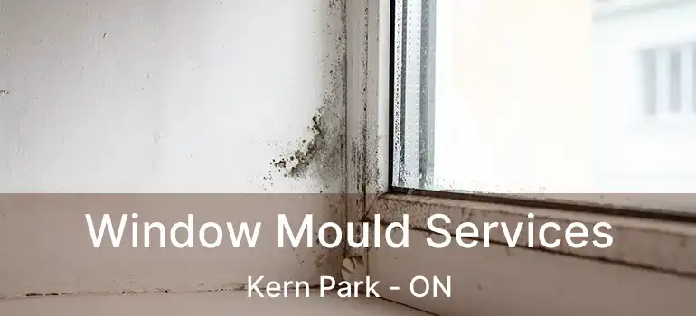  Window Mould Services Kern Park - ON