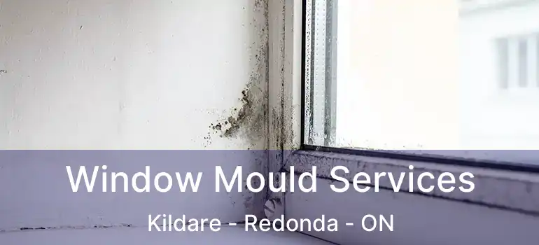  Window Mould Services Kildare - Redonda - ON