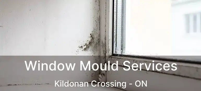  Window Mould Services Kildonan Crossing - ON