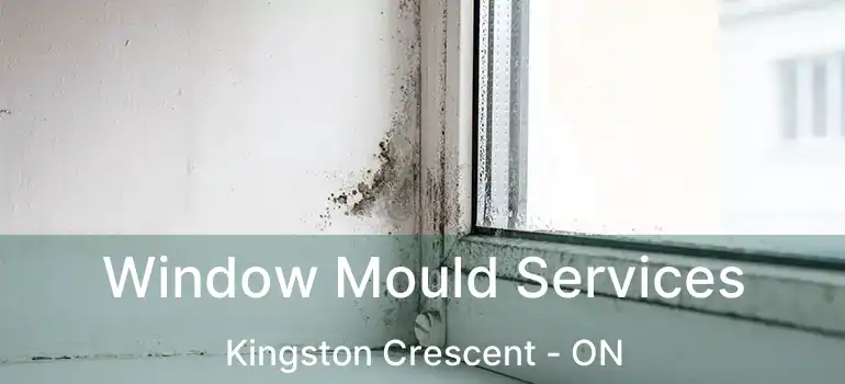  Window Mould Services Kingston Crescent - ON