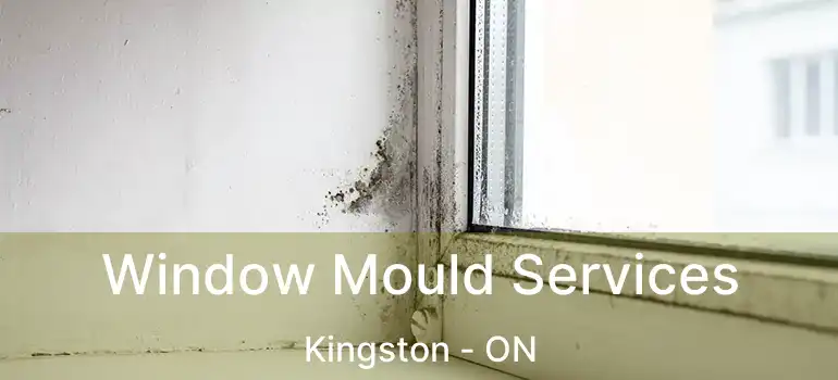  Window Mould Services Kingston - ON
