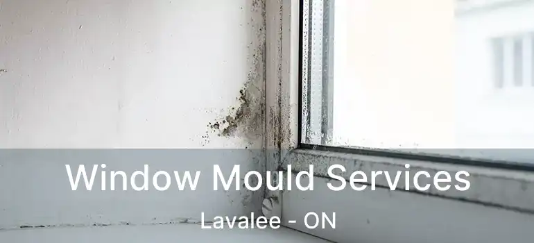  Window Mould Services Lavalee - ON