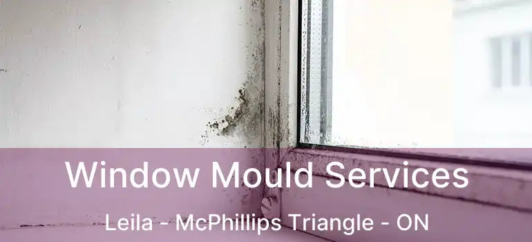  Window Mould Services Leila - McPhillips Triangle - ON
