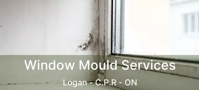  Window Mould Services Logan - C.P.R - ON