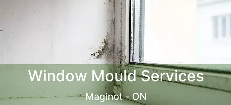  Window Mould Services Maginot - ON