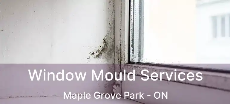  Window Mould Services Maple Grove Park - ON